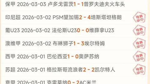 与君并肩，共创卓越自我